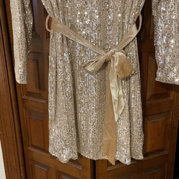 Bohme Blush/Nude sparkle dress. NWT- medium - Picture 3 of 7